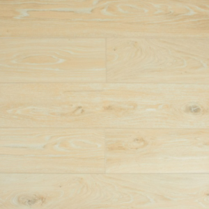 Beatrix