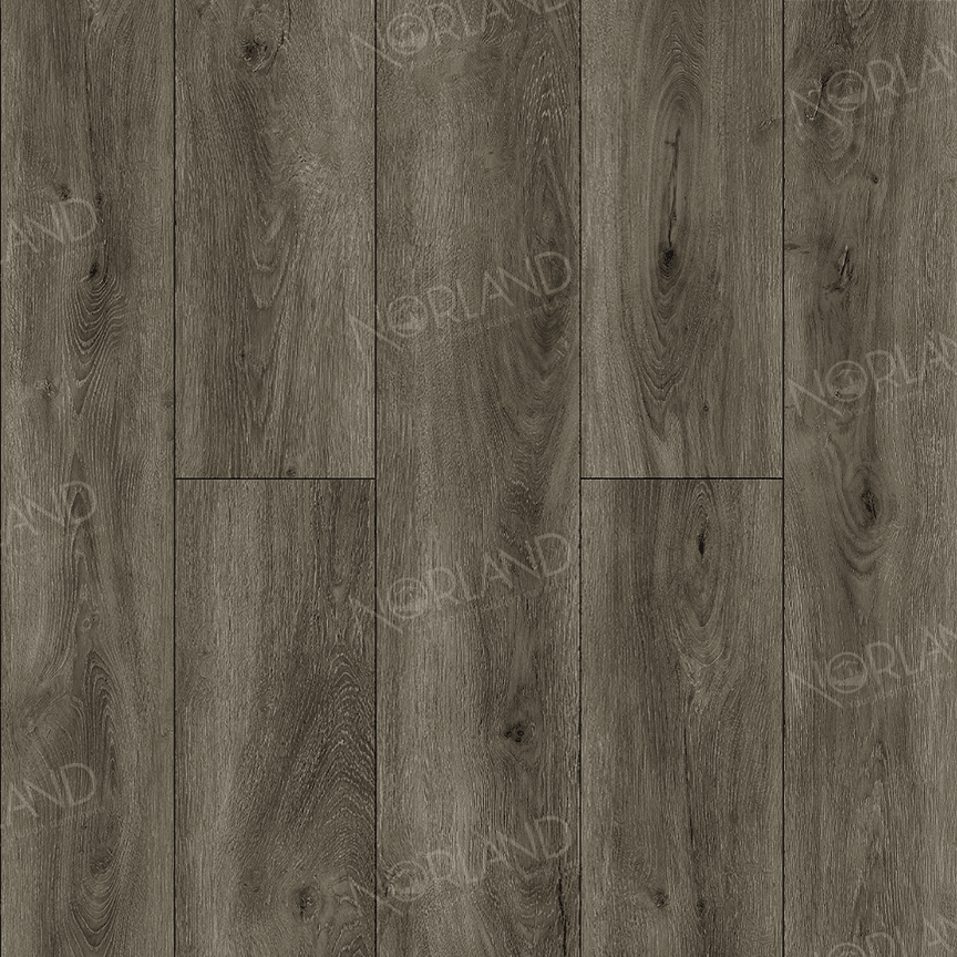Logen 1022-22