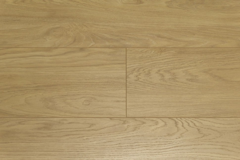 D4588 Sunflower Oak