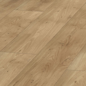 D3344 Lebanon Cedar