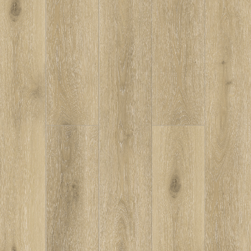 Solem 1022-10