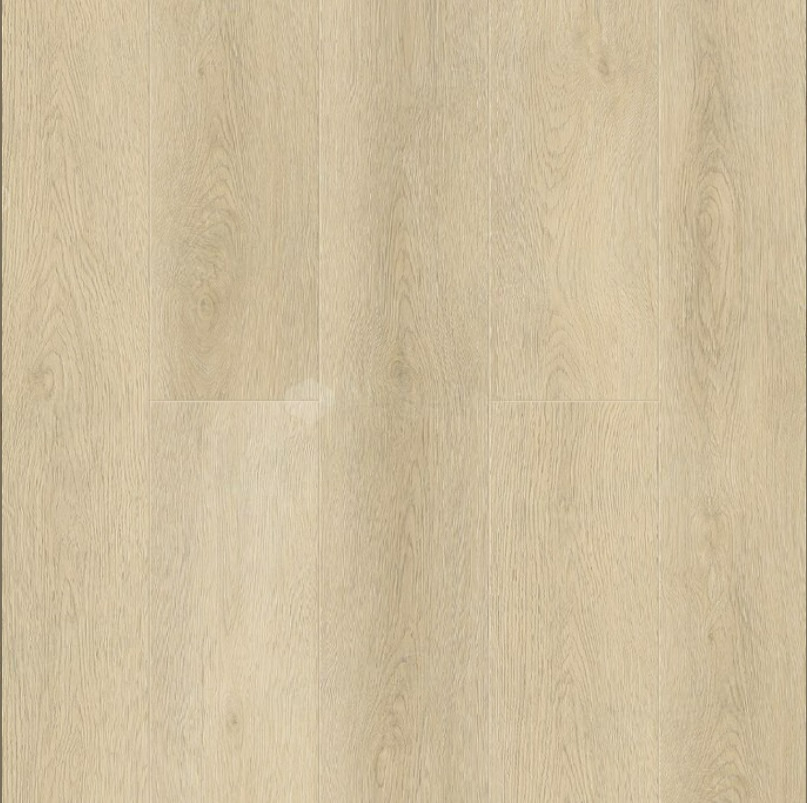 Signe 1022-9