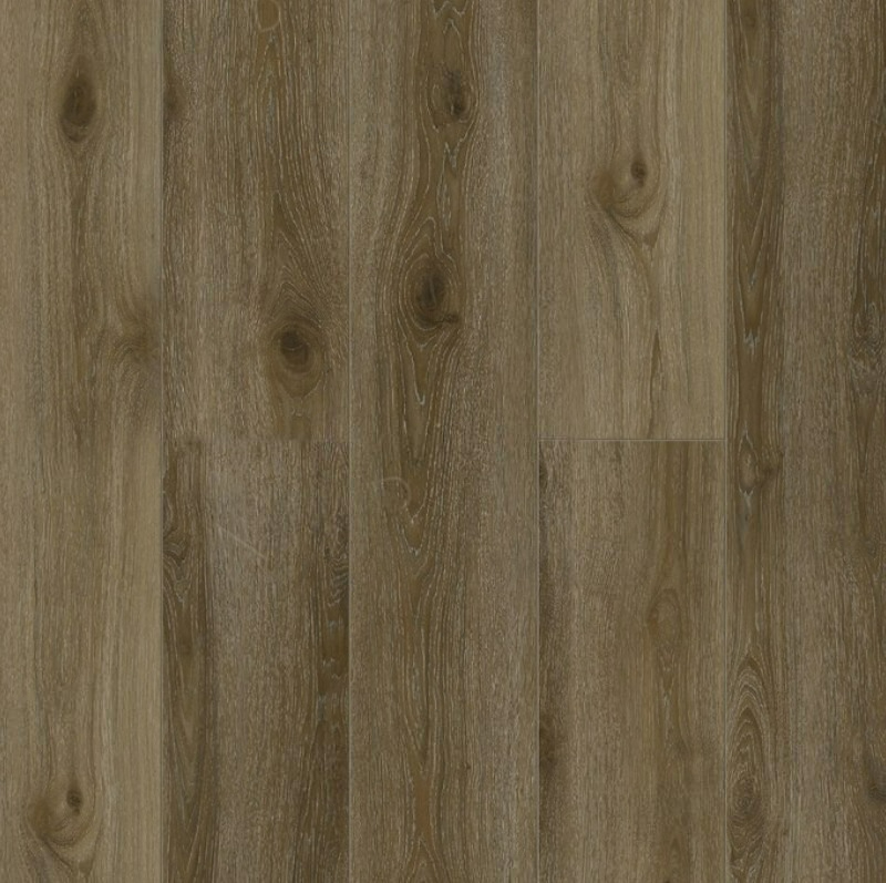 Kveld 1001-22