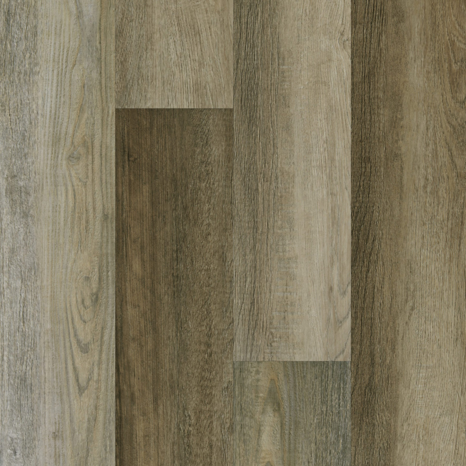 Дуб Дели 62W945