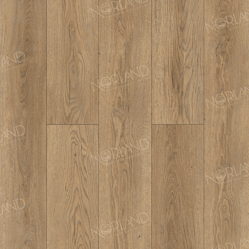 Gaula 1022-21