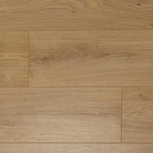 D4571 Virgo Oak