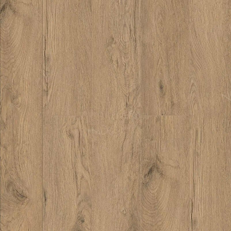 Sandra 1022-4