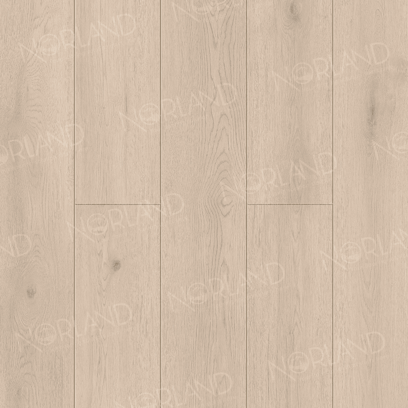Alante 1006-7