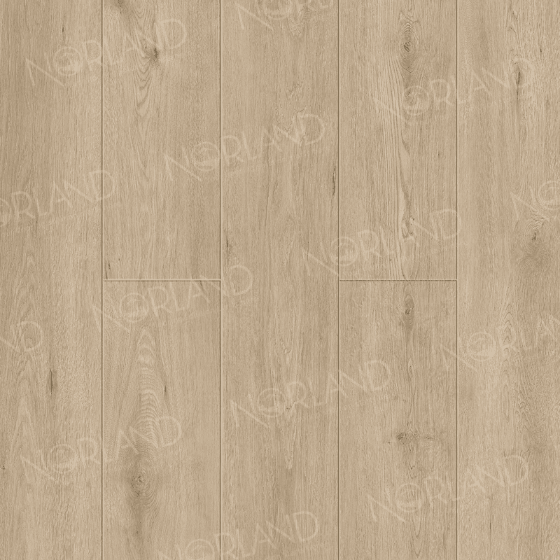 Abbi 1006-1